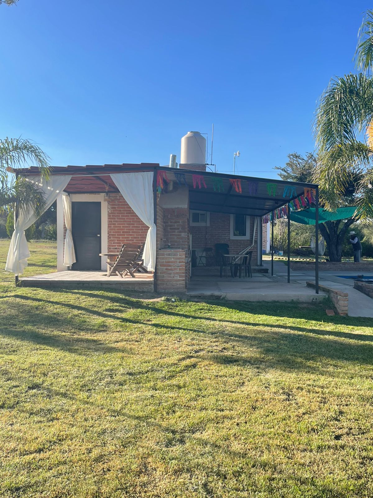 Fachada de la cabaña con cortinas y palmera