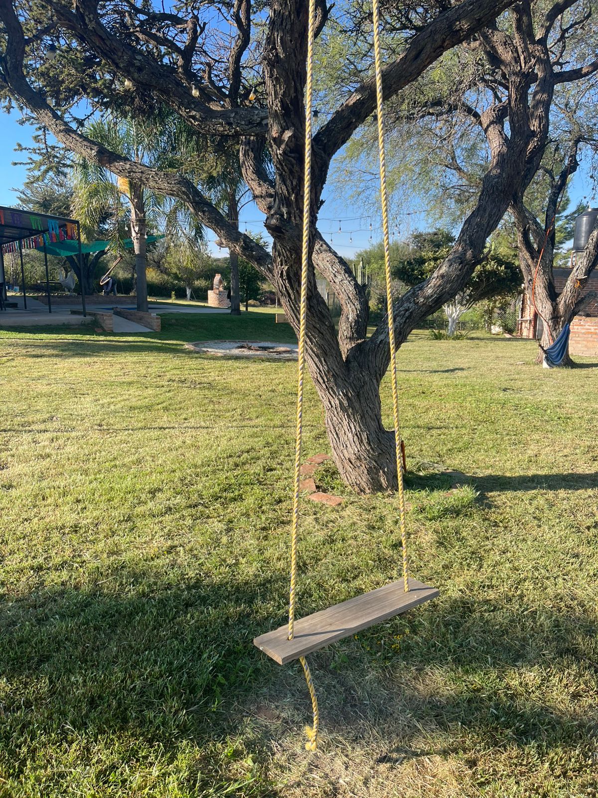 Columpio de cuerda bajo un árbol grande en el jardín